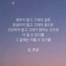 단양별소풍 이미지