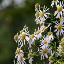 마음의 문 이미지