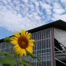 비젼목장 이미지