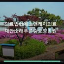 푸른숲요양병원 | 의료법인에스앤케이의료재단소래푸른숲요양병원 진료 과목 및 이용 안내