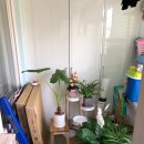 백곰공인중개사사무소 이미지