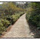 생태원길(배롱나무길) 이미지