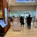 포레드썸머 이미지