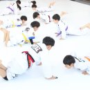 비상태권도장 이미지