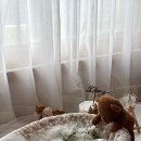 해피유어데이 네이버블로그