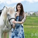 신신민박 이미지