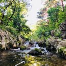 강릉외갓집 이미지