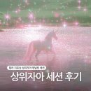 힐러 지유님 상위자아 채널링 단체 세션 후기