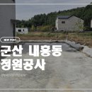 쑥부쟁이 | 가을 분위기 물씬, 낙상홍과 쑥부쟁이로 완성한 내흥동 정원 시공 후기