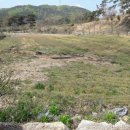 대전축사 이미지