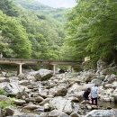 내원사 관광안내소 네이버블로그