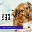 사랑가득동물병원 이미지
