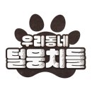 털뭉치들 이미지