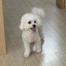 미예림어린이집 | 이유식 만들기 I 8개월 아기 낙상 사고 I 0세반 어린이집 적응기 I 웰킨 두피관리 I 트립트랩 레몬옐로우