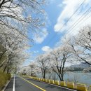 남종면행정복지센터 이미지