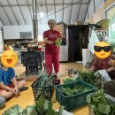 안만순농장 이미지