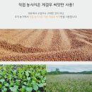 대한헬스팜 네이버블로그