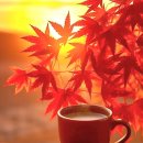 오늘의 역사 (11월 4일) 이미지