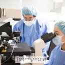 수원제일산부인과의원 이미지