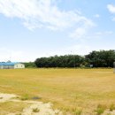 외갓집민박 이미지