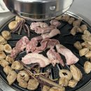 뒷고기전성시대 - 봉화군 의양로 96 | 뒷고기전성시대
