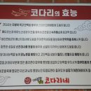 거진항코다리 네이버블로그