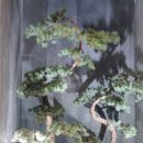 라르고빌(웨이브하우스,가든하우스) 이미지