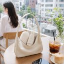 성도종합광고 | [광고] 로열스테디 초경량 UV 접이식 우양산 후기