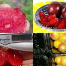 차령농장 이미지