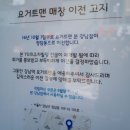 요거트청담 이미지