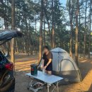 운여해변 | 태안 노지 캠핑 운여해변 해루질 다녀온 후기