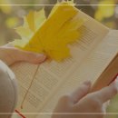 화곡정신건강의학과의원 이미지