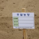 가산골농장 이미지