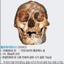 진실대 거짓! 의식의 진화 이미지