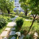 베벌리 도그 이미지