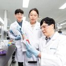 퍼스트오토 이미지