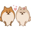 그루밍 샵 제제 이미지