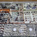 오즈안경원 이미지