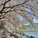 남천강변로 이미지