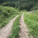 불은면-6 이미지