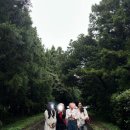 민지목장 이미지