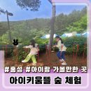 충남아이키움뜰 | 홍성) 홍성 아이랑 가볼만한 곳 플레잉맘&amp;대디 충남아이키움뜰 숲 체험