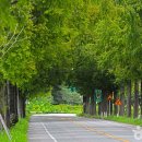 곡성-178 이미지