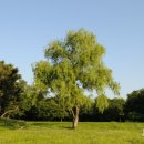 성안모텔 이미지