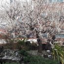 가족키즈펜션안덕 이미지