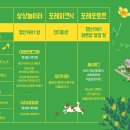 라이브축제