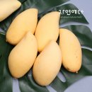 (주)망고인터내셔널 쇼핑하우