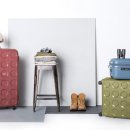 올리브(olive)PC 이미지