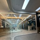 그루밍 애견미용 이미지