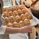 행정용 36 | 대구 따따따 빵지순례 내돈내산 포장 후기